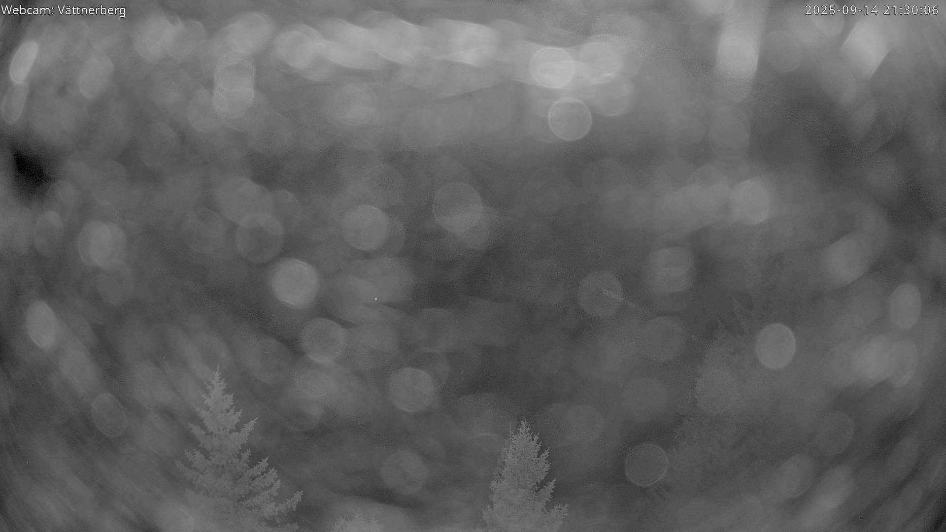 47h ago - 21:40