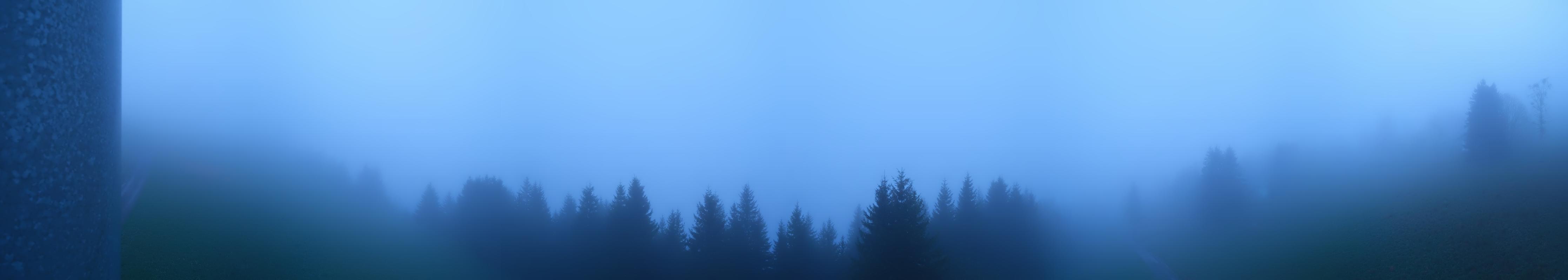 25h ago - 06:01
