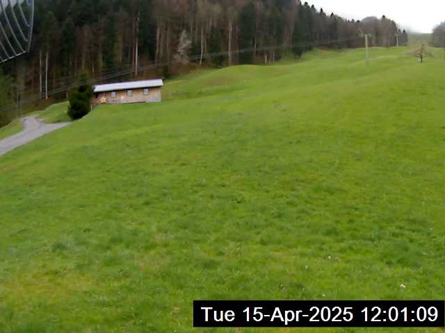 15.04.2025 12:01
