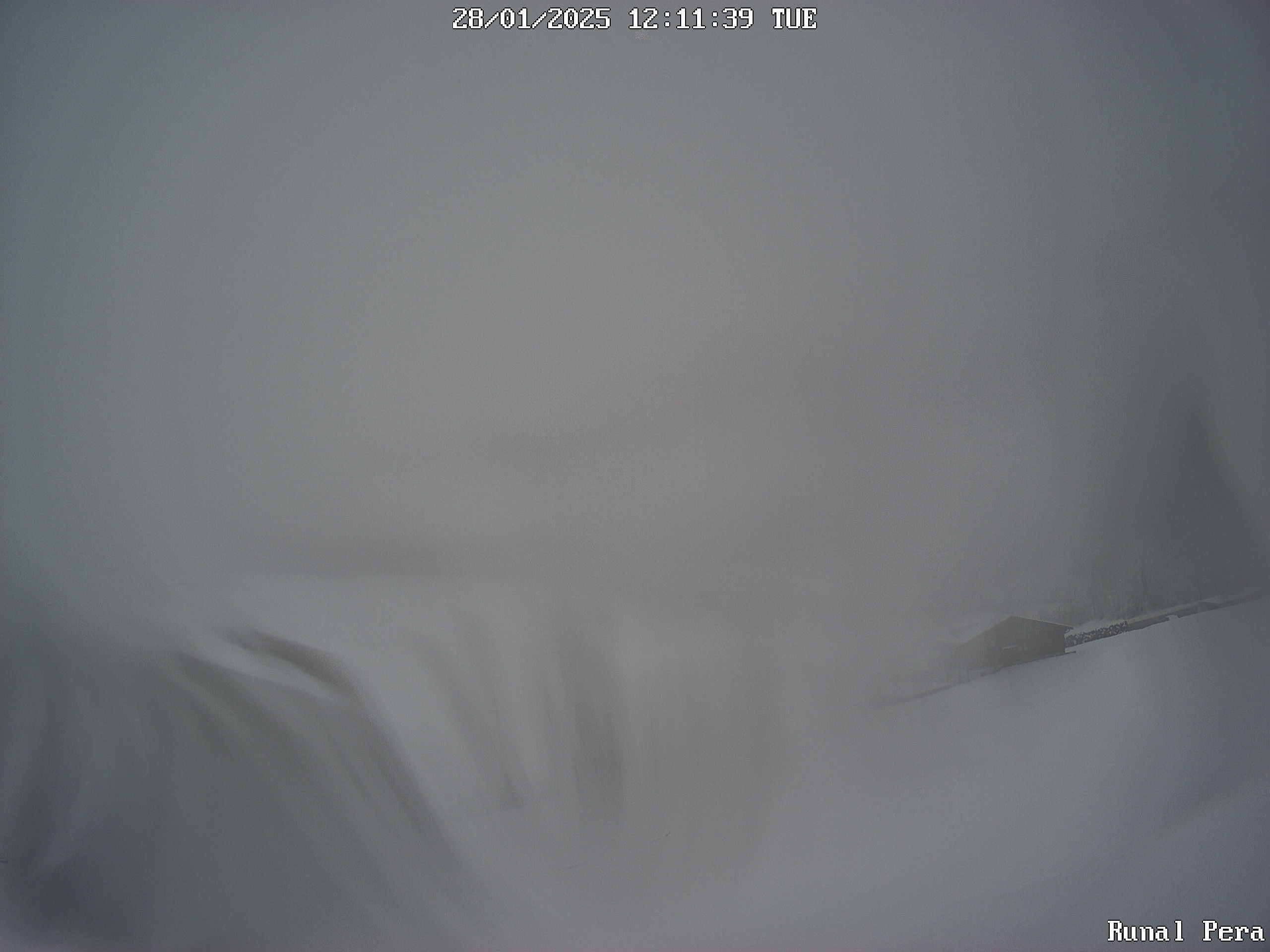 28.01.2025 12:11