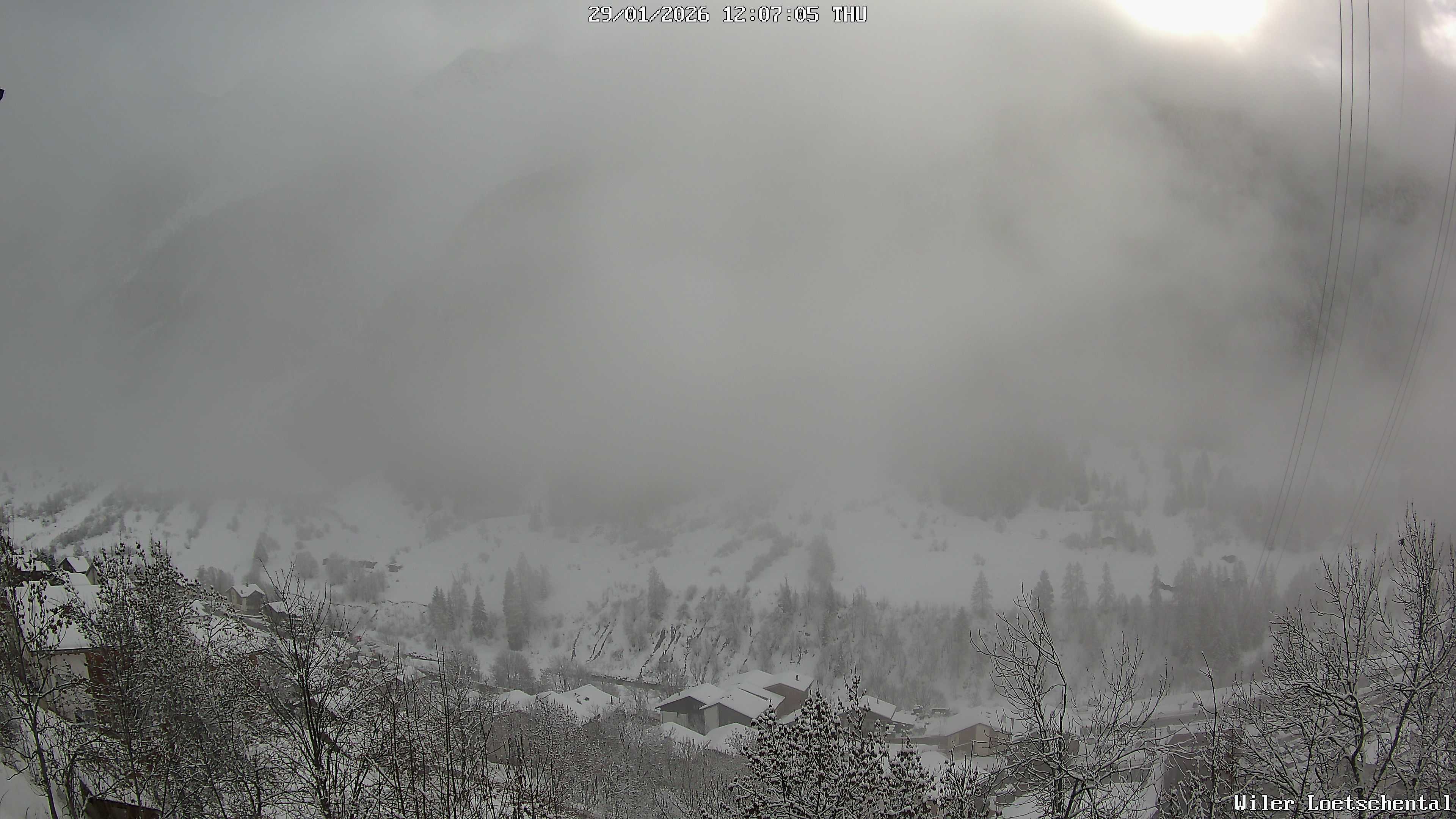 29.01.2026 12:07