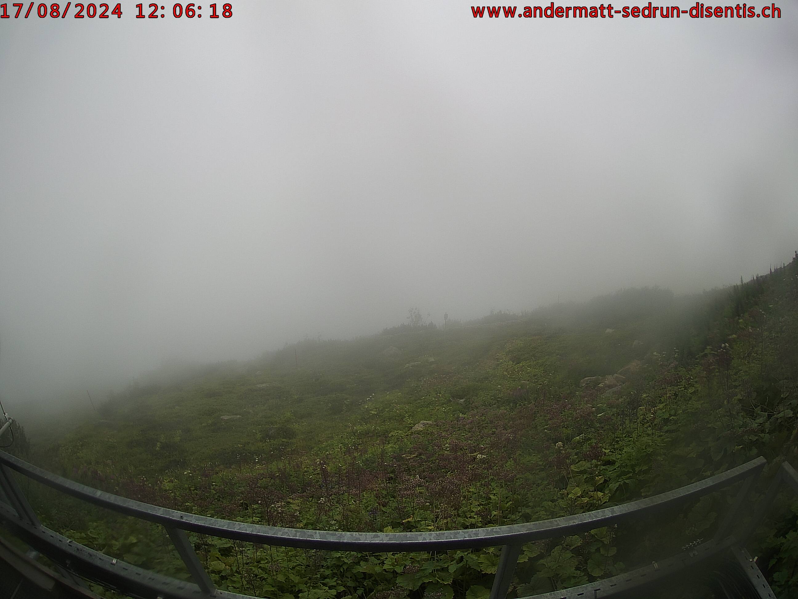 17.08.2024 12:06