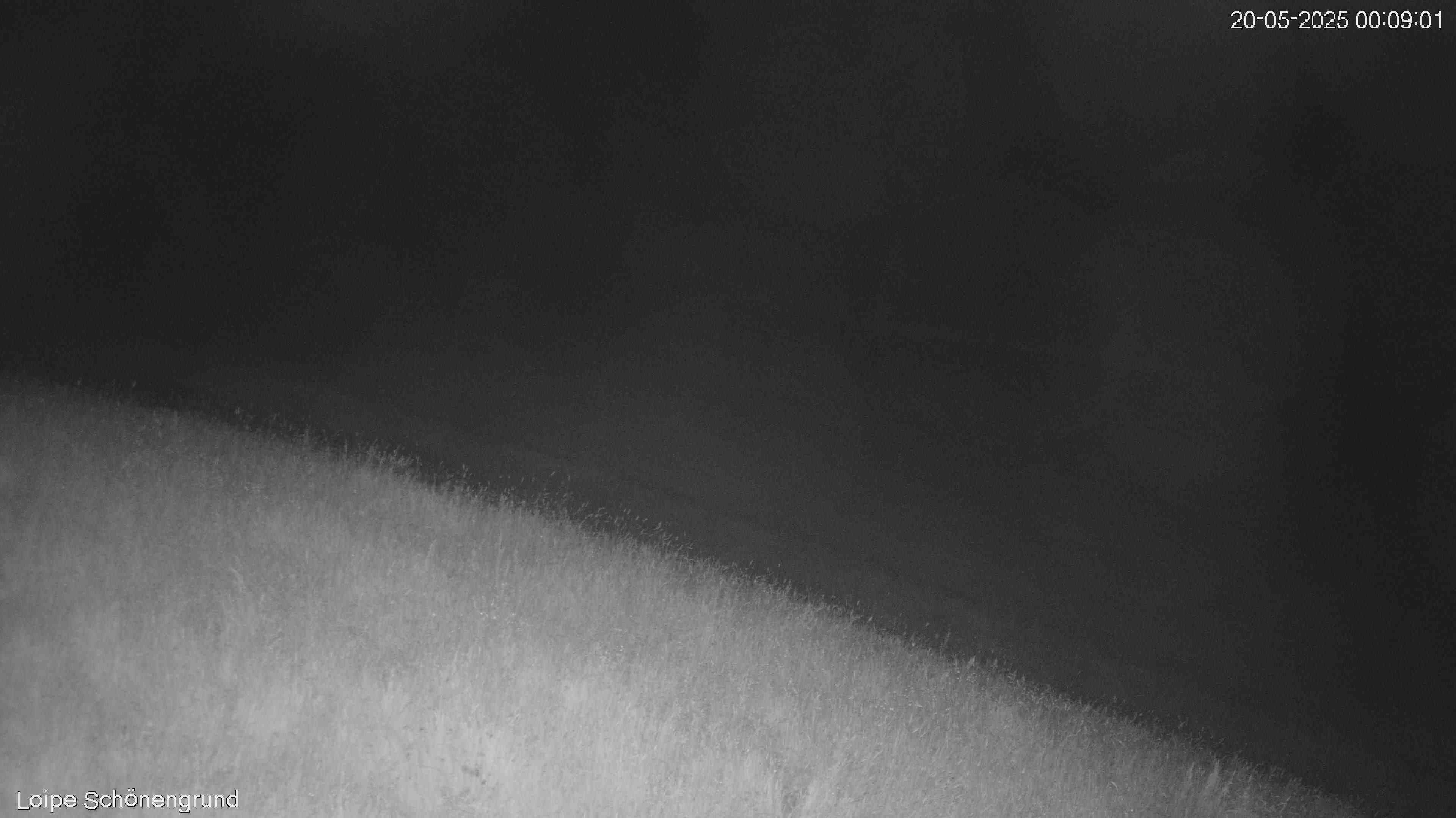 44h ago - 00:09