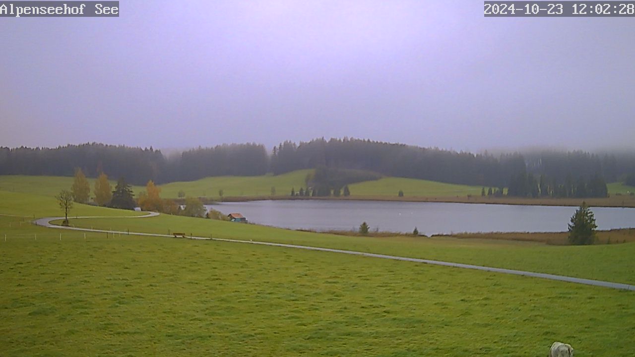 23.10.2024 12:02
