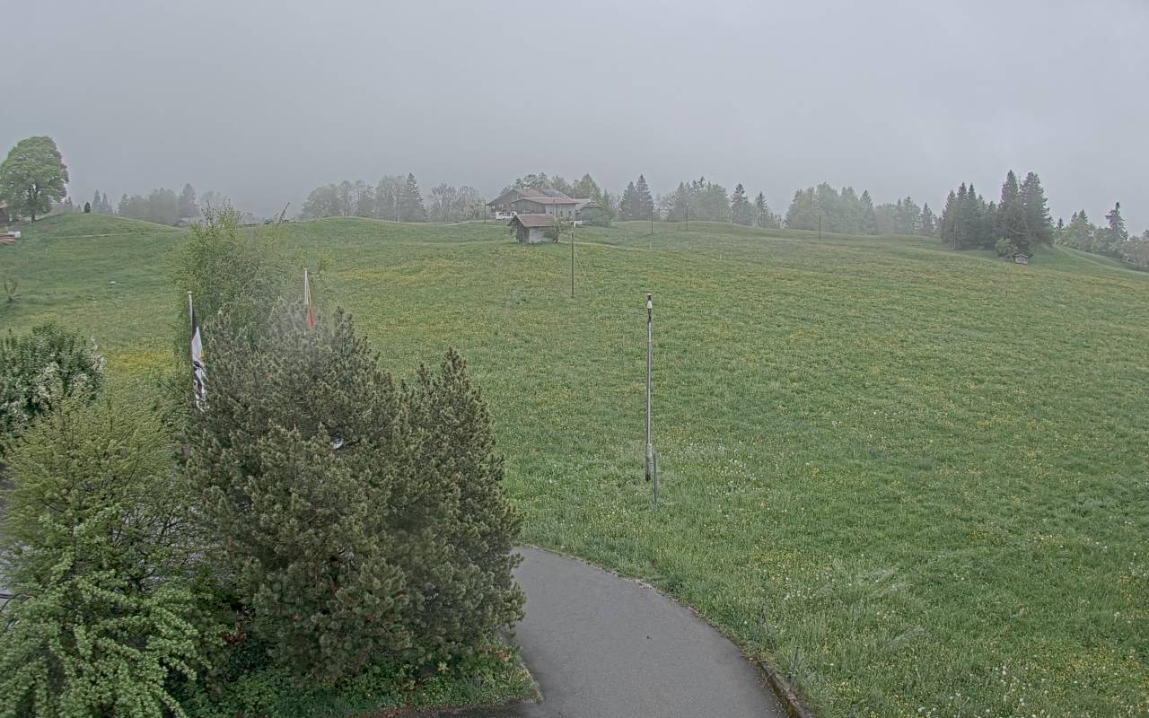 13h ago - 18:25