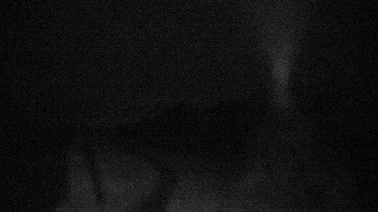 1h ago - 01:13