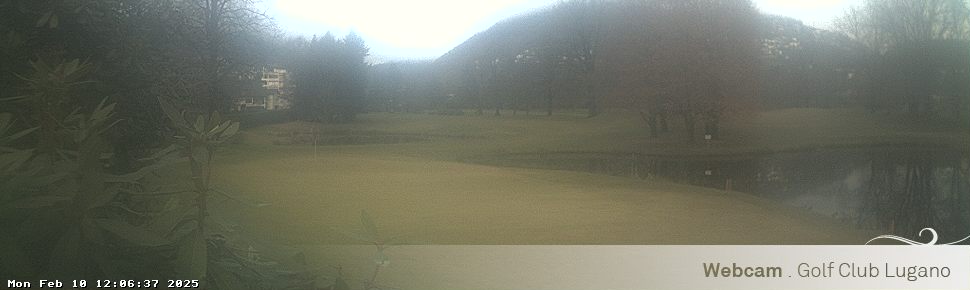 10.02.2025 12:06