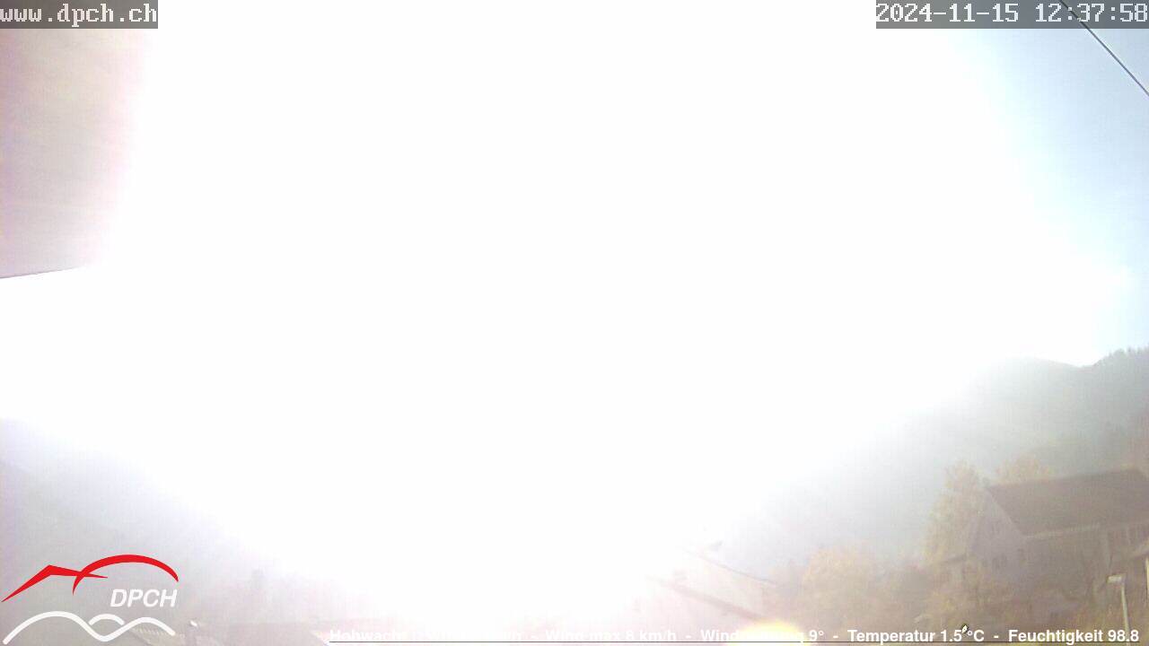 15.11.2024 12:38