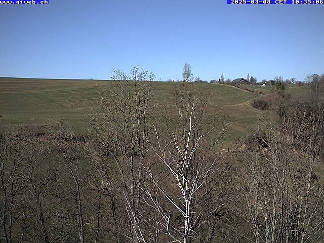 08.03.2025 11:02
