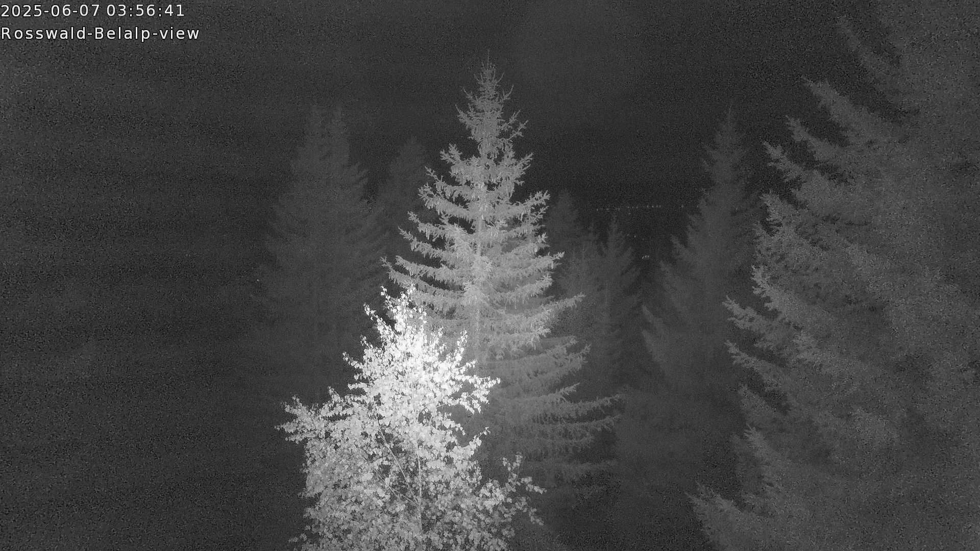 27h ago - 04:01