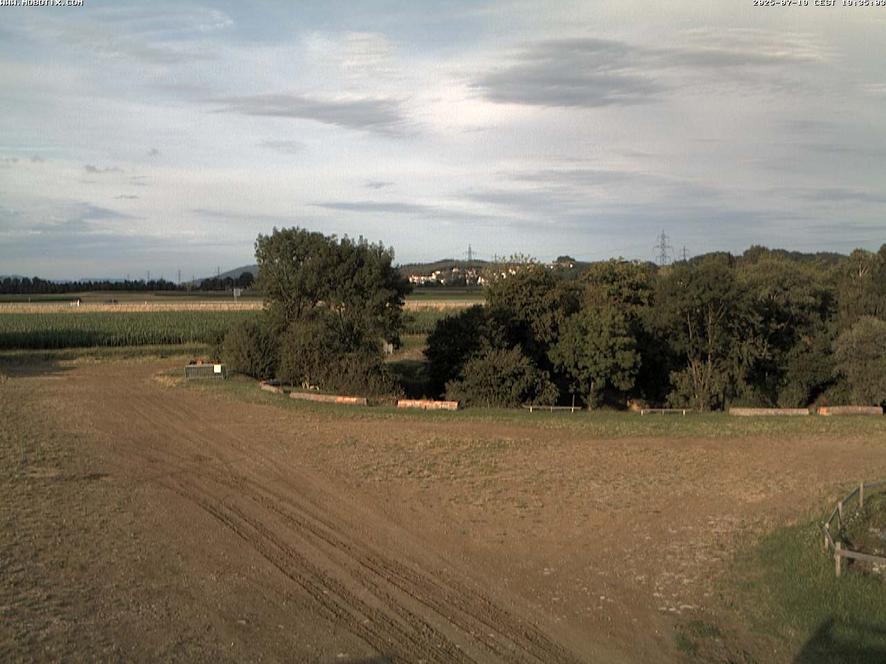 11h ago - 19:41