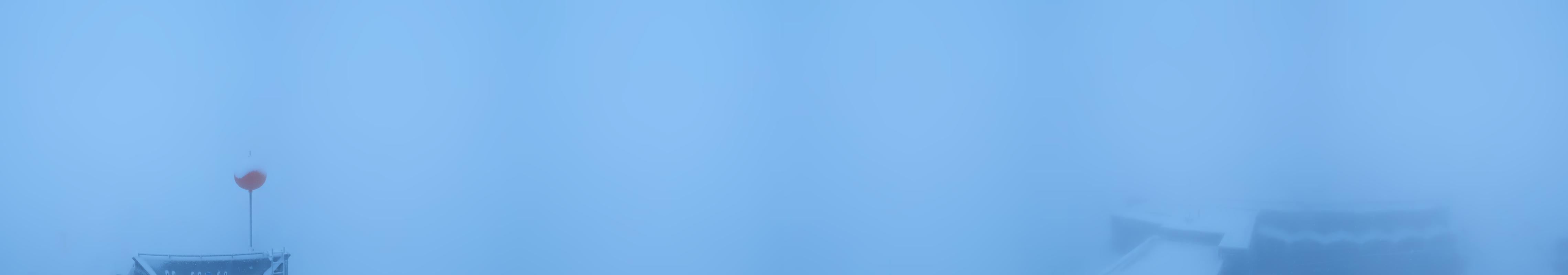 5h ago - 06:31