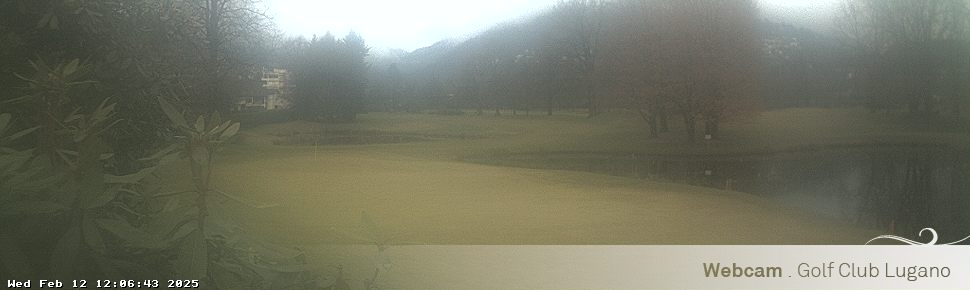 12.02.2025 12:06