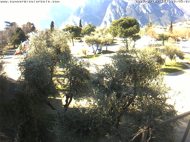 02.02.2025 12:14
