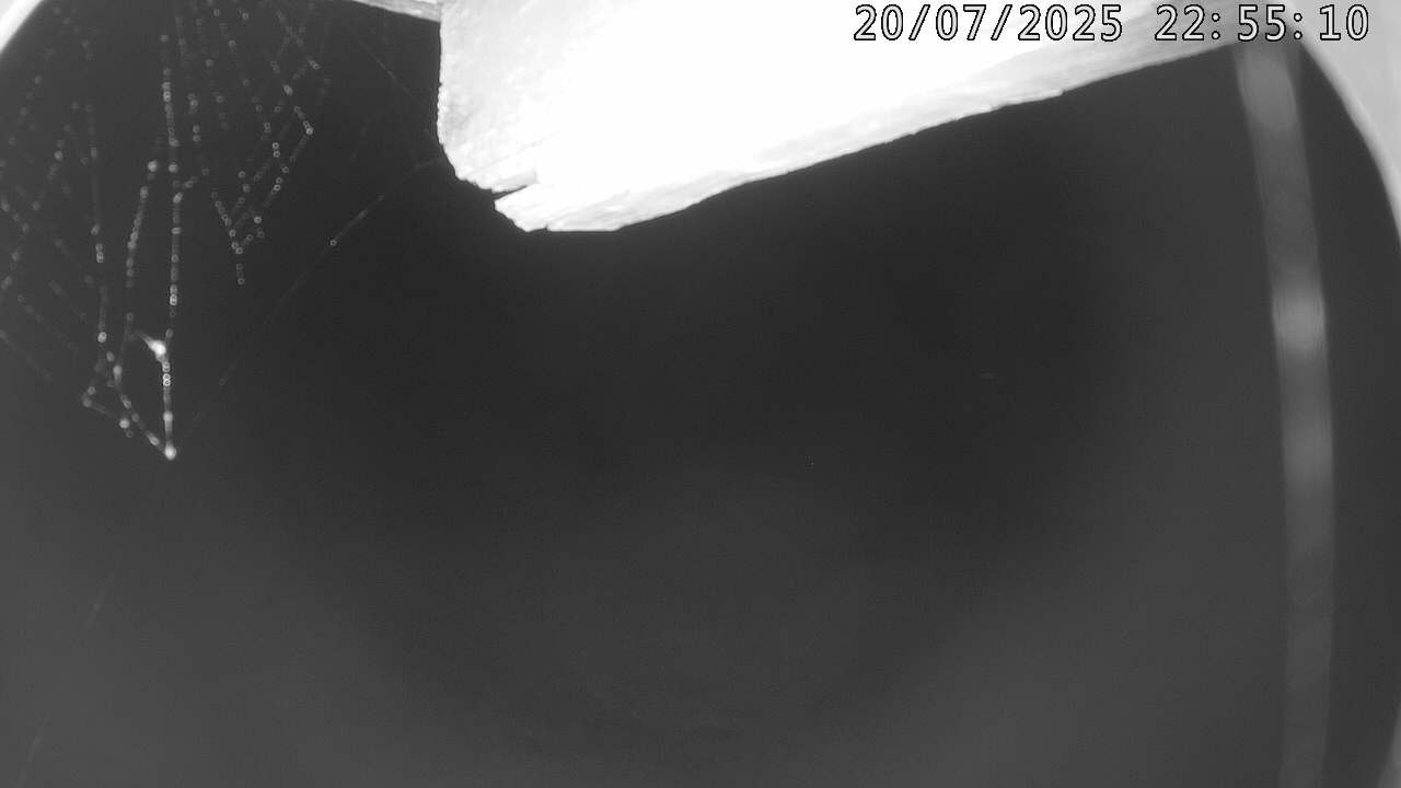 8h ago - 22:55