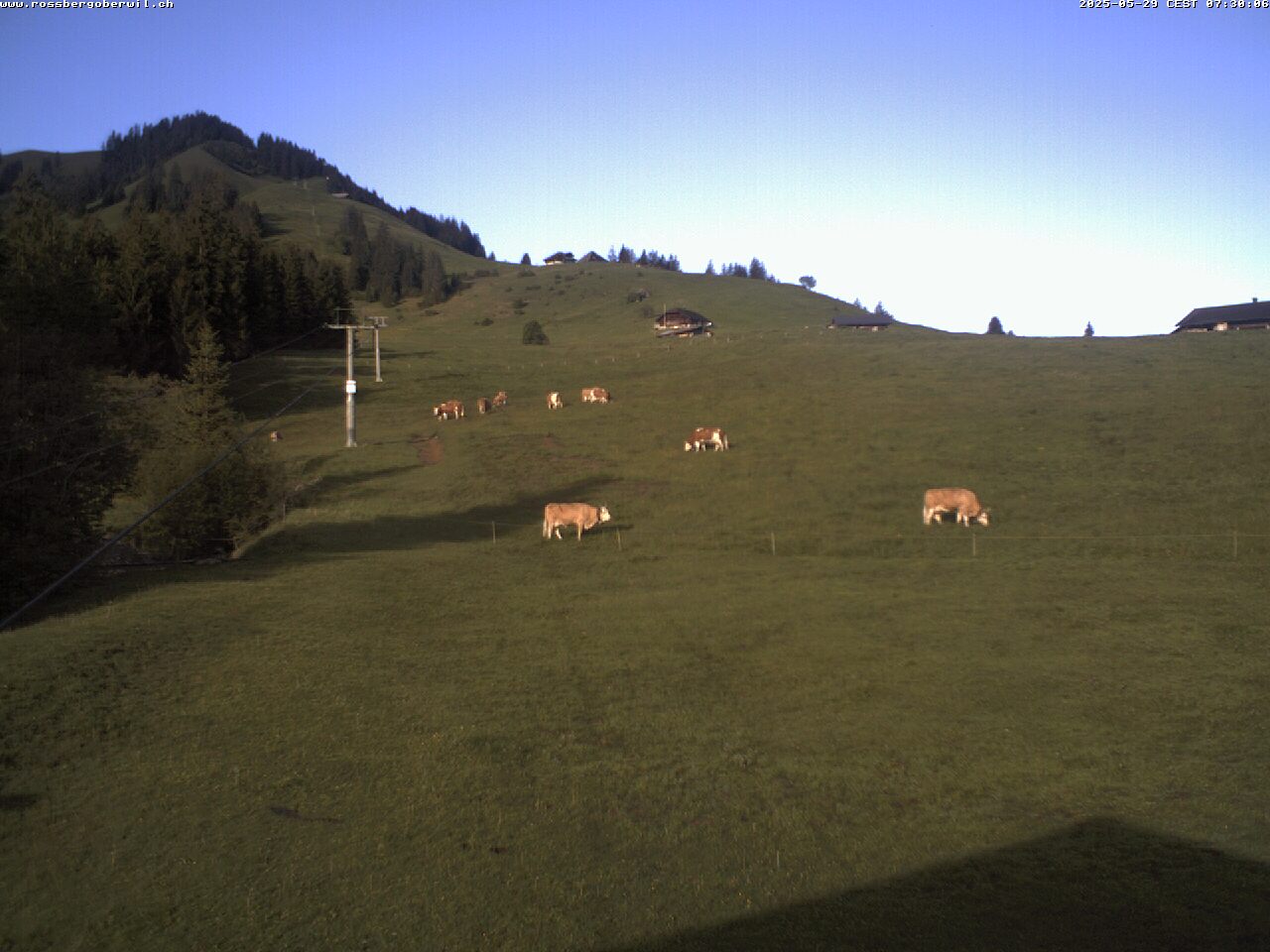 43h ago - 07:30