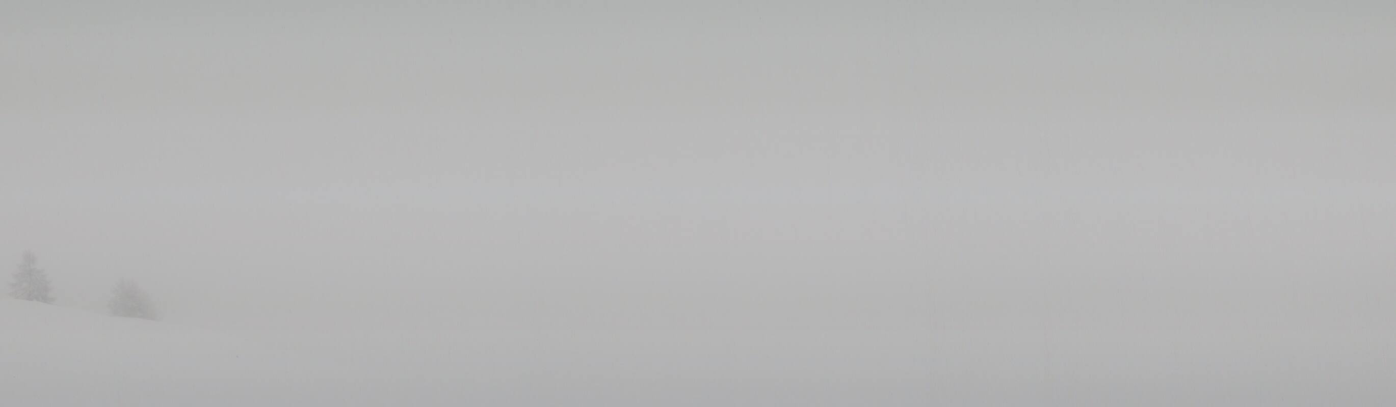 28.01.2025 12:11