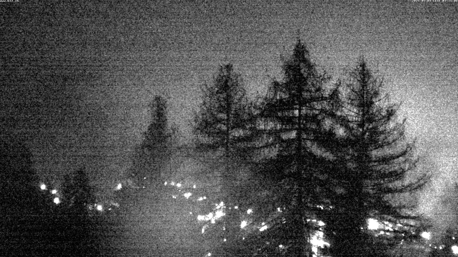4h ago - 03:10