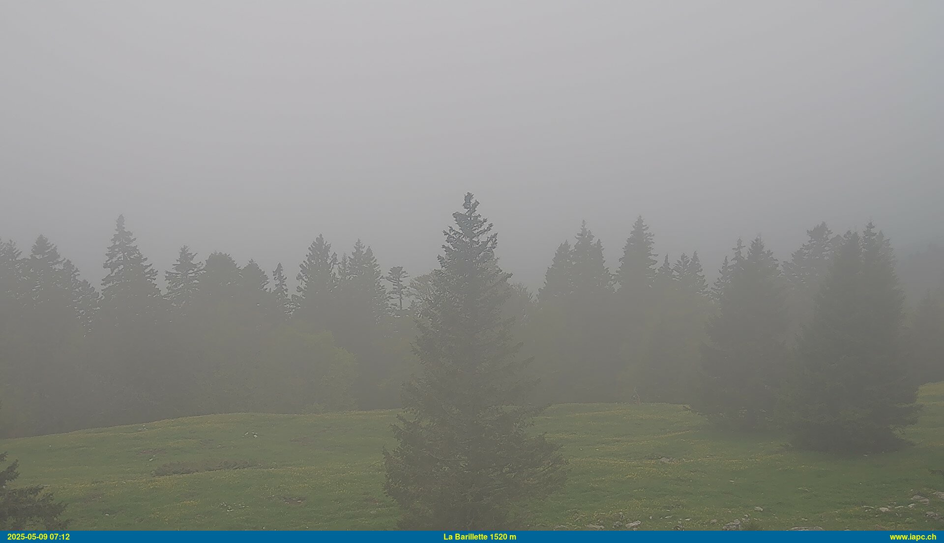 1h ago - 07:13