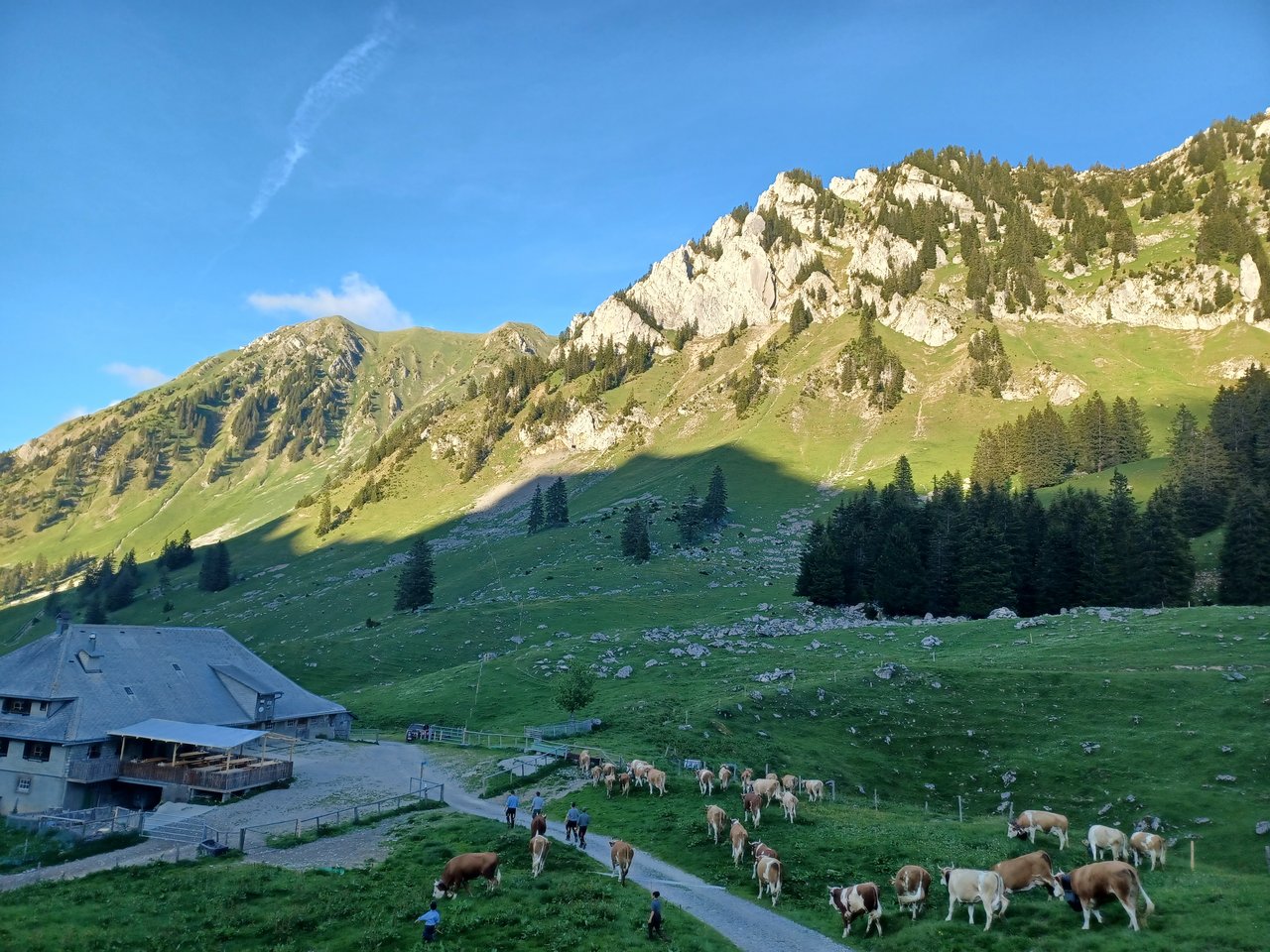 Hofladen Bifang Und Oberer Euschels - Im Fang - Guidle