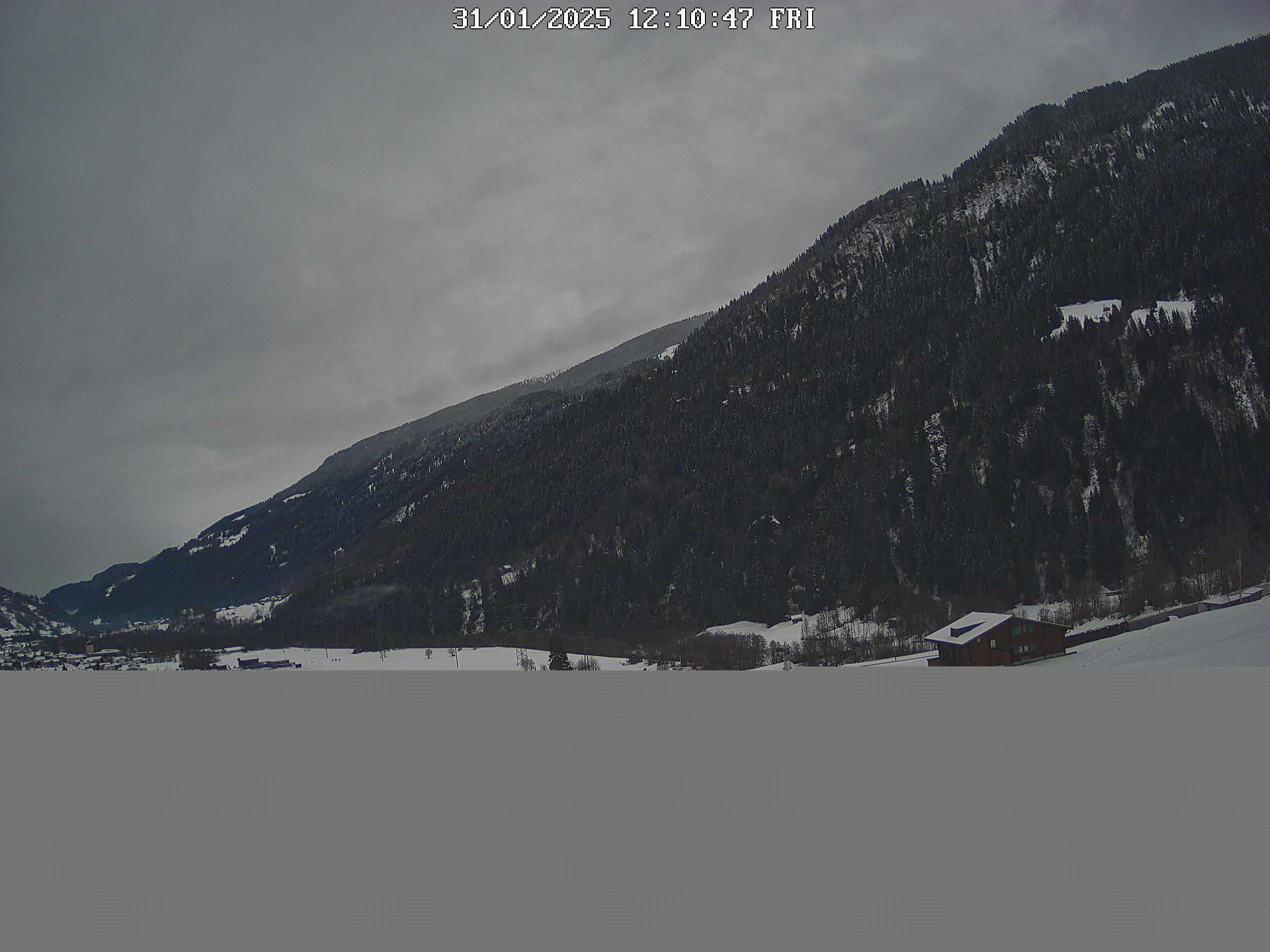 31.01.2025 12:10