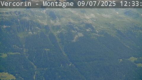 40h ago - 12:33