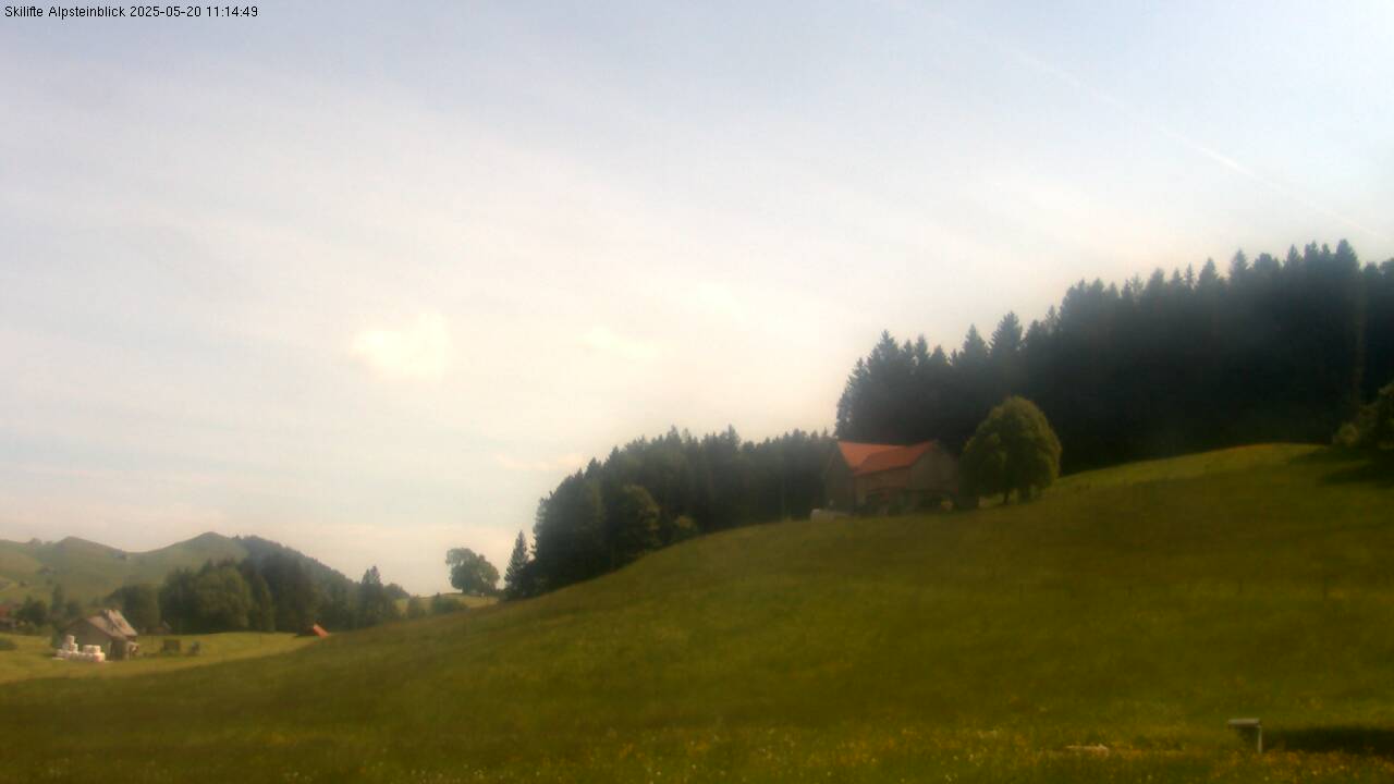 35h ago - 11:14