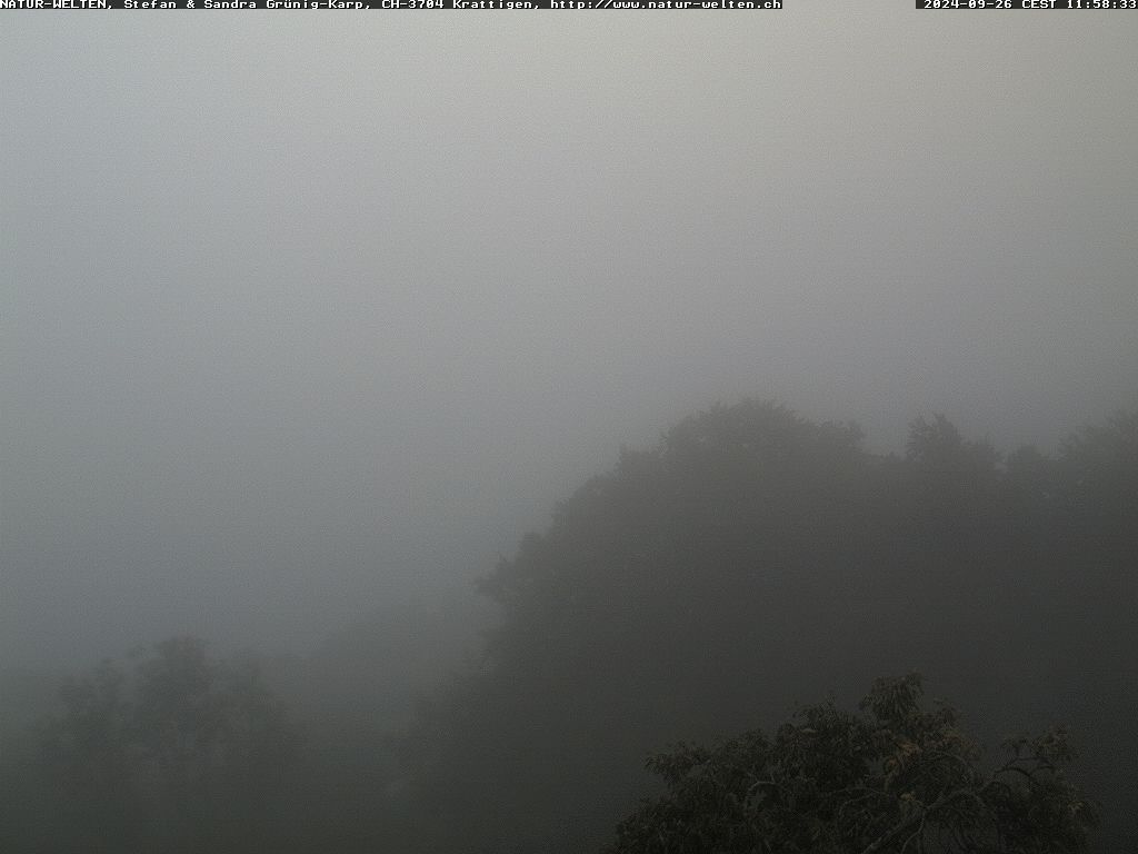 26.09.2024 12:02