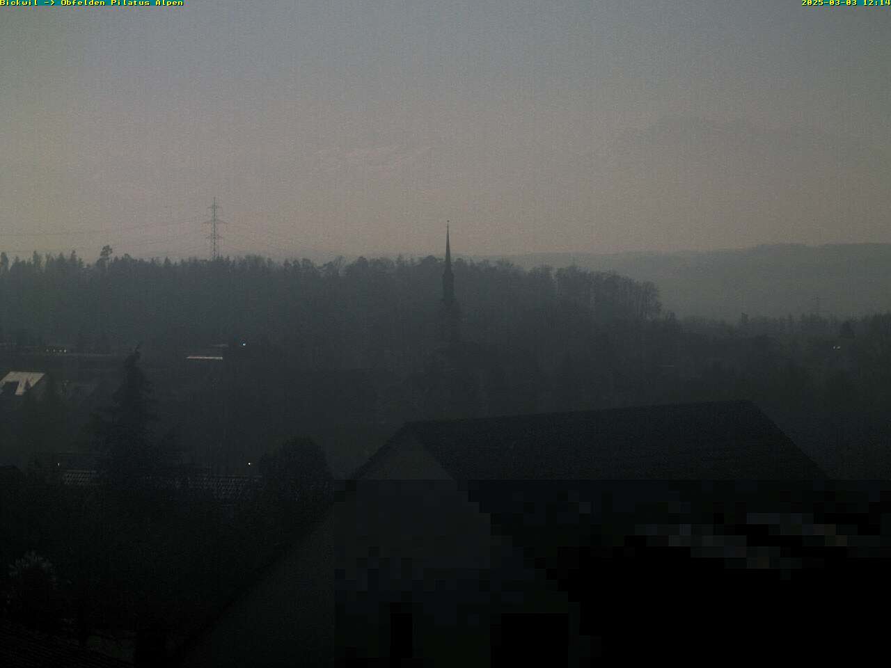 03.03.2025 12:14