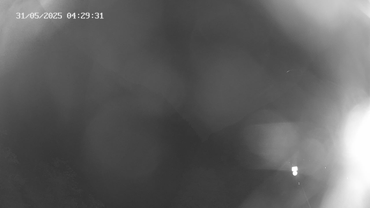 38h ago - 04:30