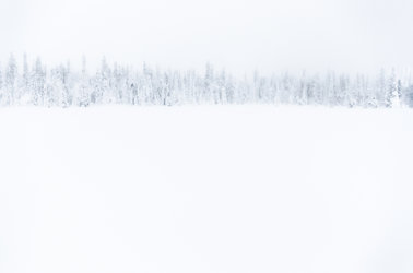 Caroline Fink - Silence - 1