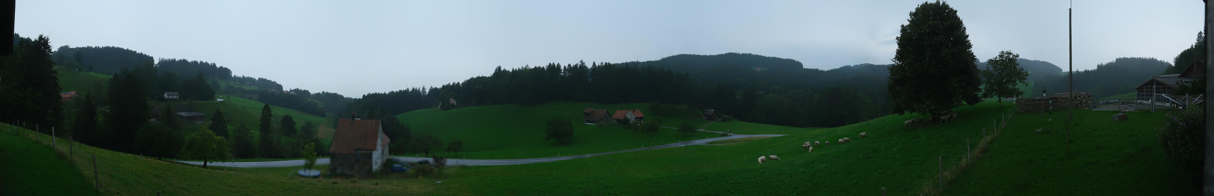 32h ago - 19:03