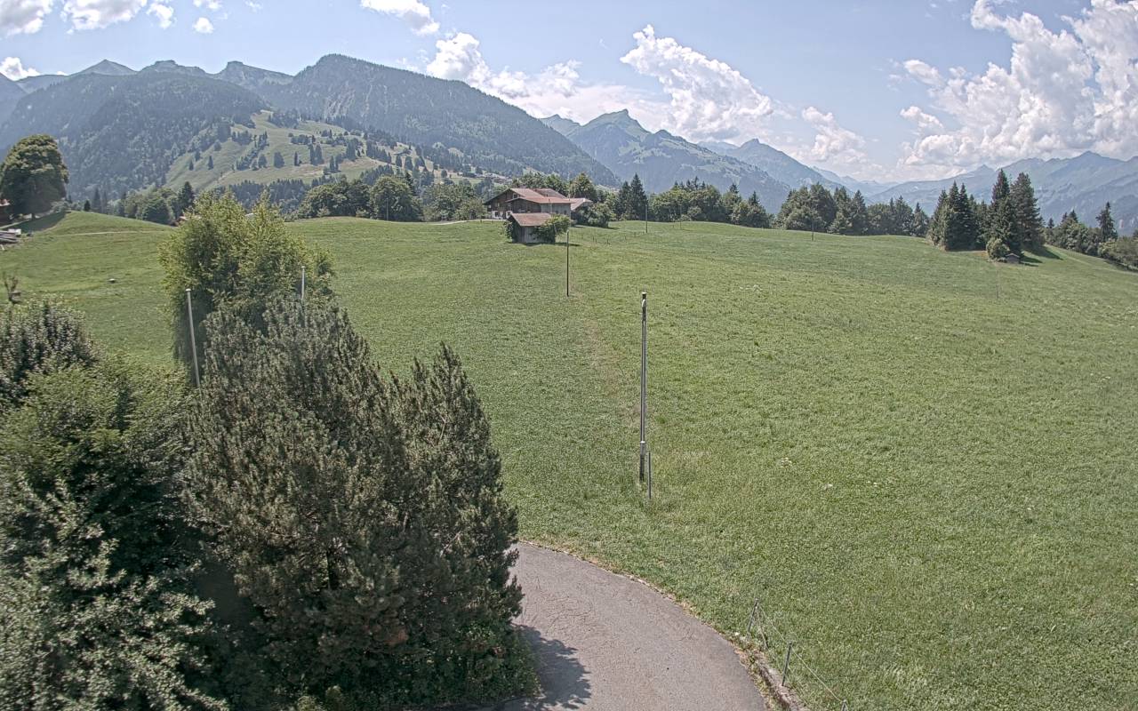 30.06.2025 12:25