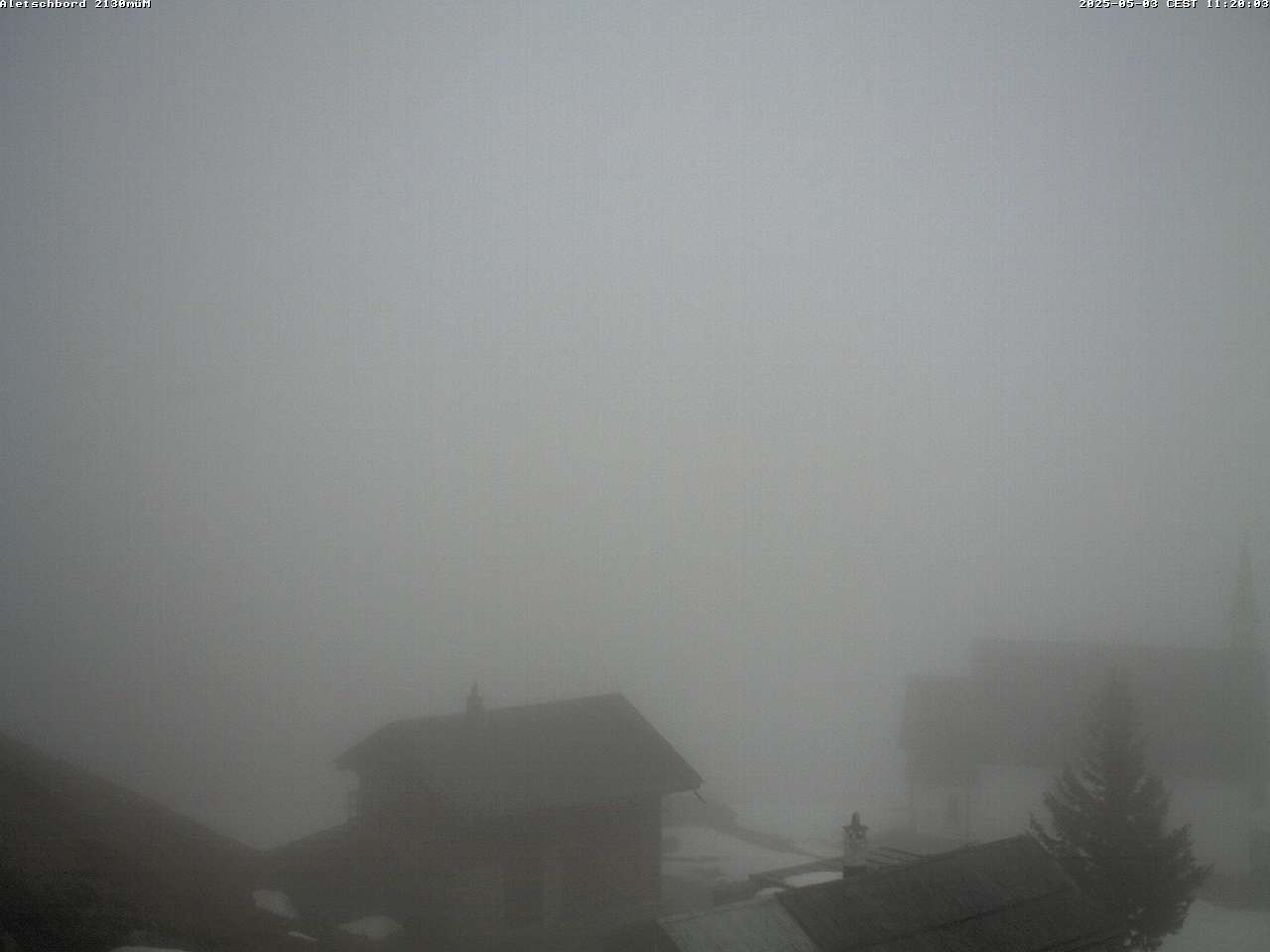 03.05.2025 12:05