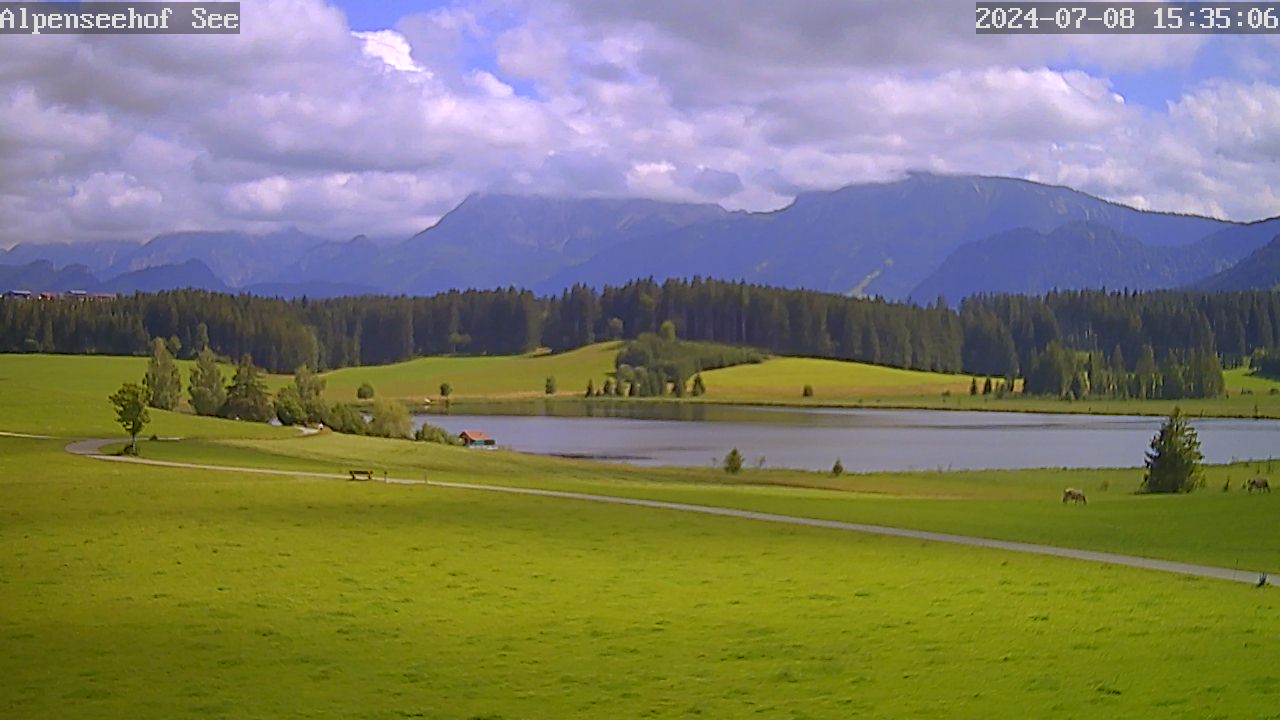 08.07.2024 15:35