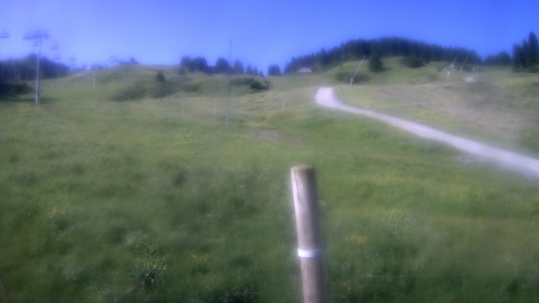 21h ago - 09:31