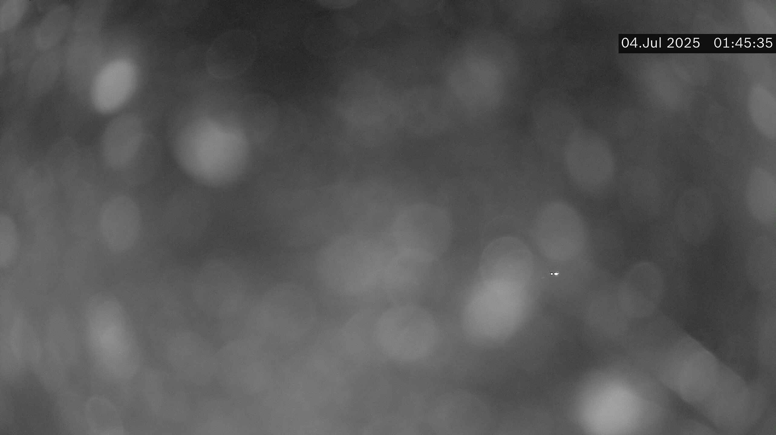 6h ago - 01:45