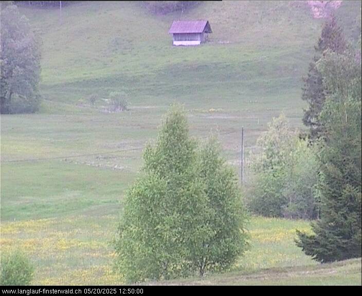 20.05.2025 12:36