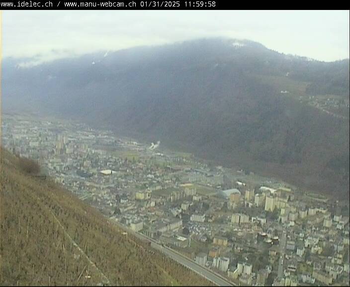 31.01.2025 12:00