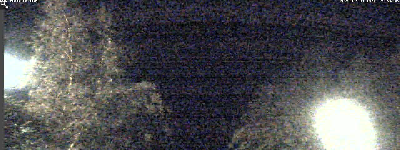 33h ago - 23:31