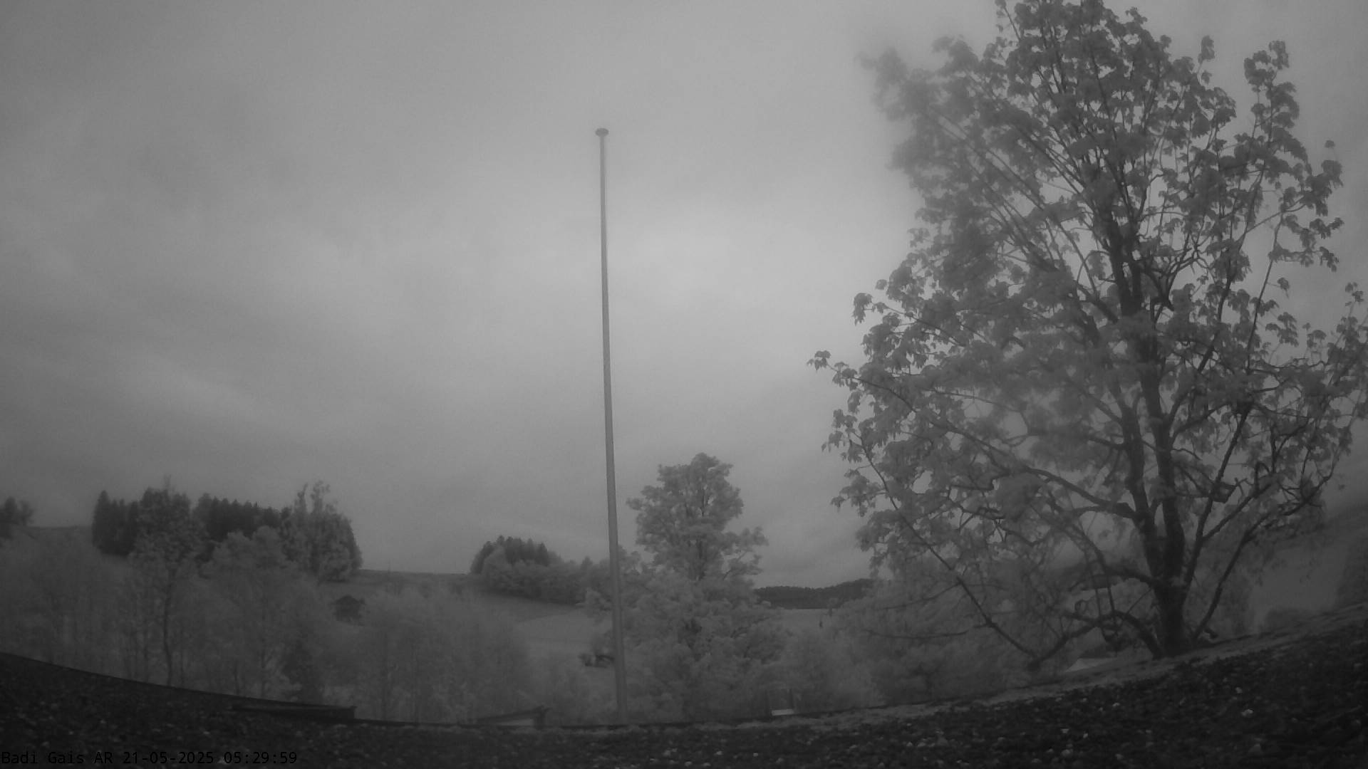 15h ago - 05:30