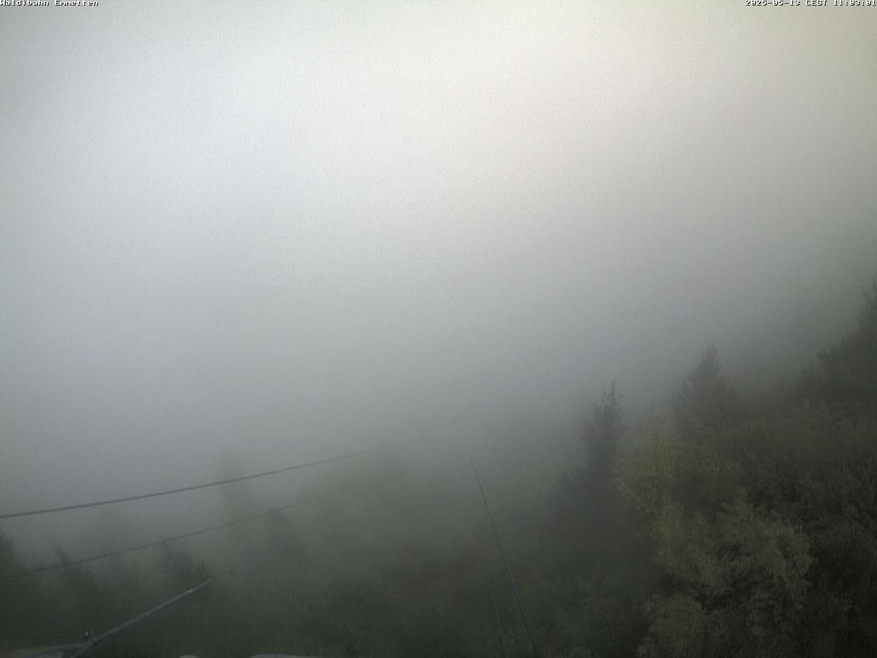 20h ago - 11:03