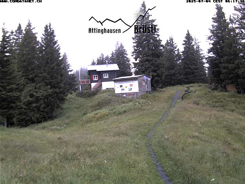 3h ago - 06:01
