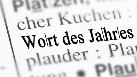 Das Liechtensteiner Wort des Jahres wird seit 2002 von einer Sprachjury gekürt.