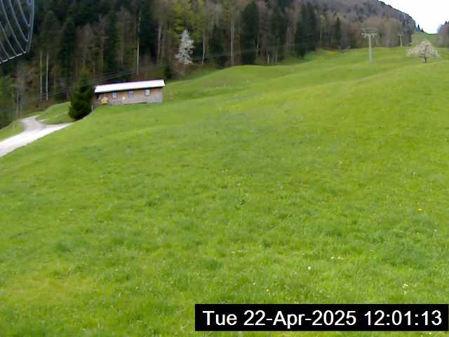 22.04.2025 12:01