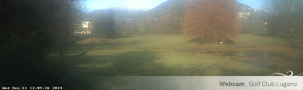 11.12.2024 12:05
