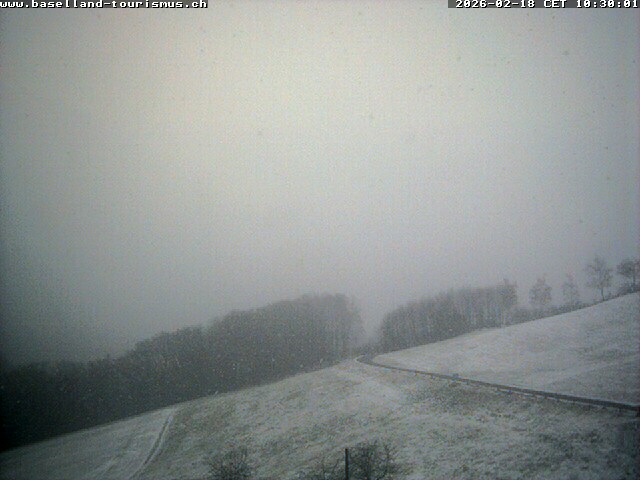 18.02.2026 12:06