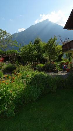Blick zum Niesen