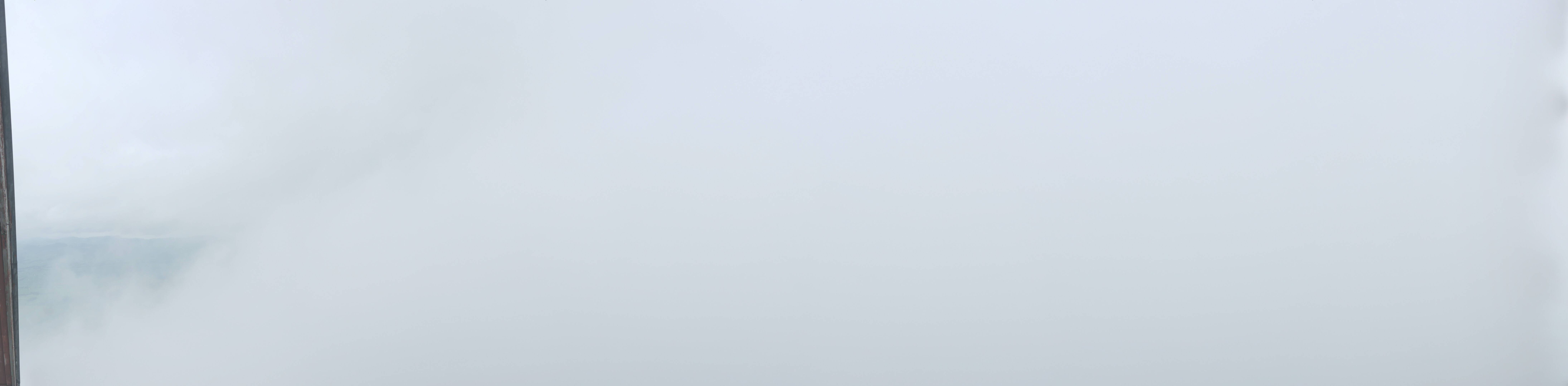 31h ago - 08:32