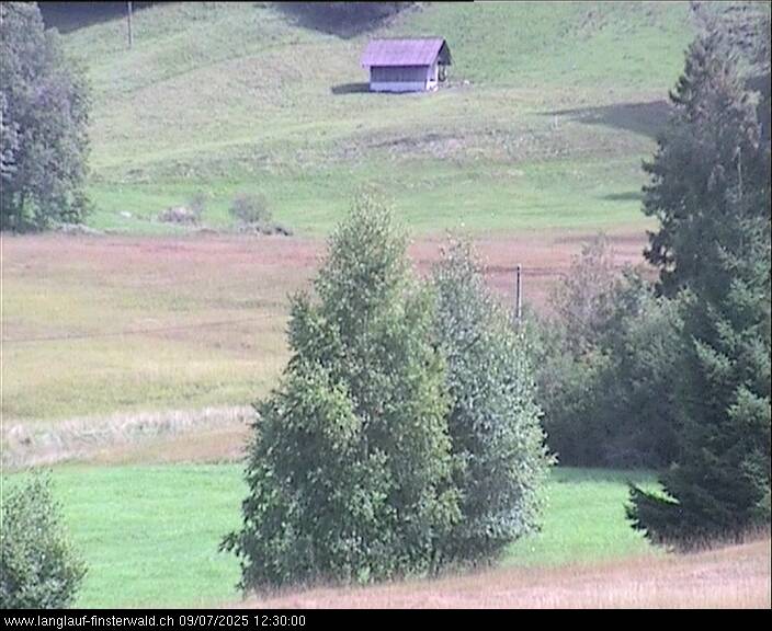 07.09.2025 12:10